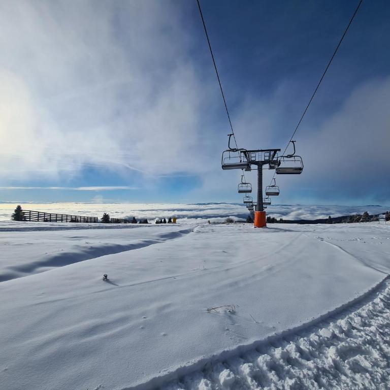 Apartman Pahulja - Milmari - Apartment with Mountain View - 36