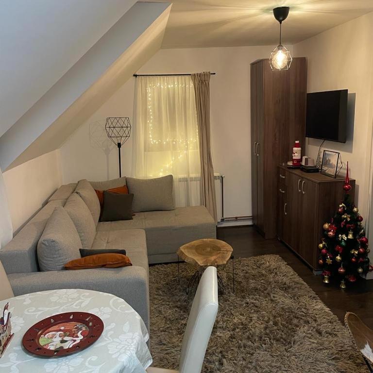 Apartman Toki - Apartman sa 1 Spavaćom Sobom - 9