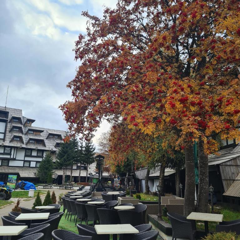 Apartman Pahulja - Milmari - Apartment with Mountain View - 38