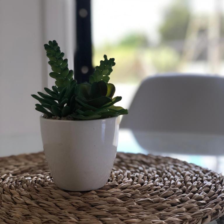Departamento Los Canelos, a metros de Avenida Las Industrias- Incluye, NETFLIX DirecTV aire acondicionado, Internet - Apartamento de 1 dormitorio - 5
