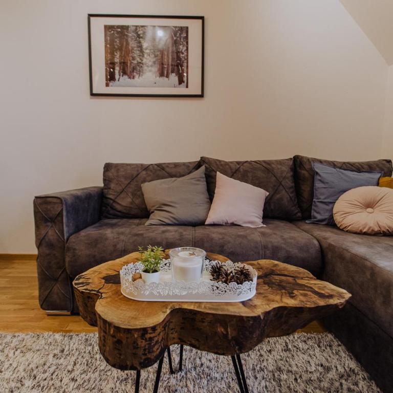 Divcinova Planinski A9 - Apartman sa 1 Spavaćom Sobom - 20