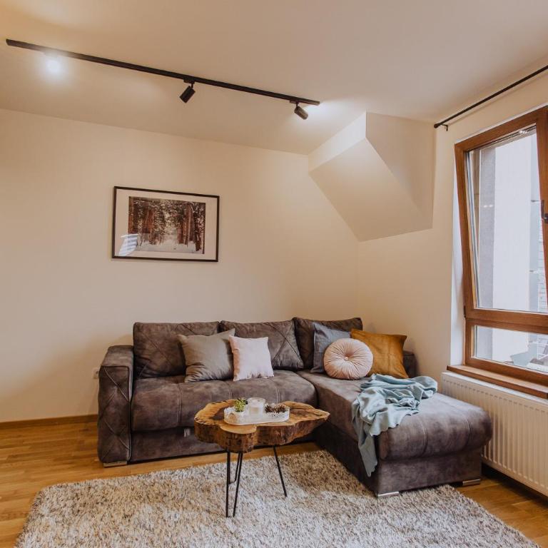 Divcinova Planinski A9 - Apartman sa 1 Spavaćom Sobom - 39