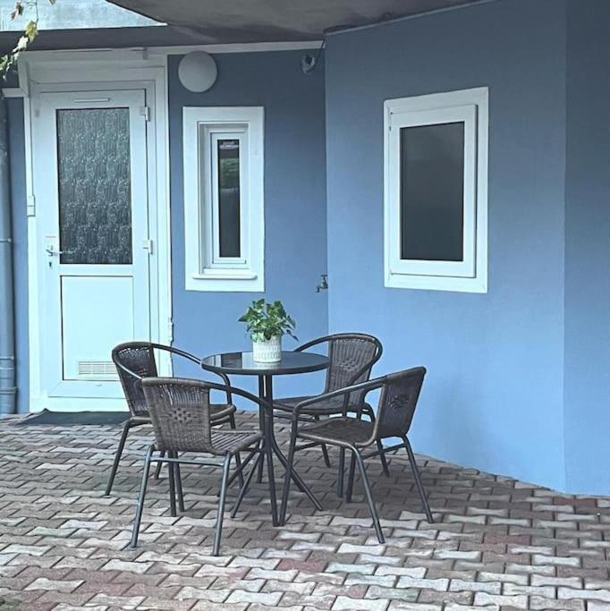 Colmar,appart chaleureux 2 pas centre avec jardin - Apartment mit 1 Schlafzimmer - 10