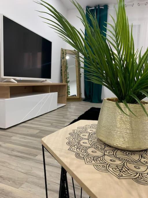 Colmar,appart chaleureux 2 pas centre avec jardin - Apartment mit 1 Schlafzimmer - 22