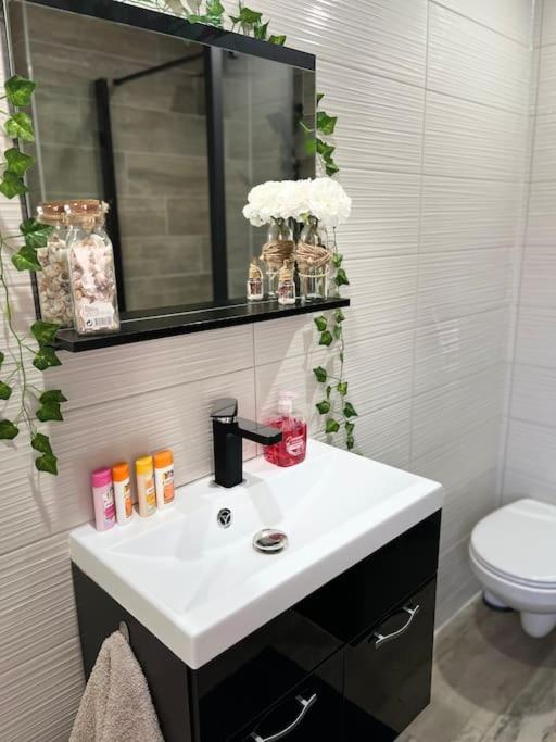 Colmar,appart chaleureux 2 pas centre avec jardin - Apartment mit 1 Schlafzimmer - 24