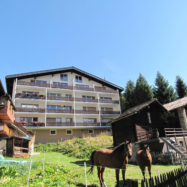 Adora - Studio-Apartment - 7