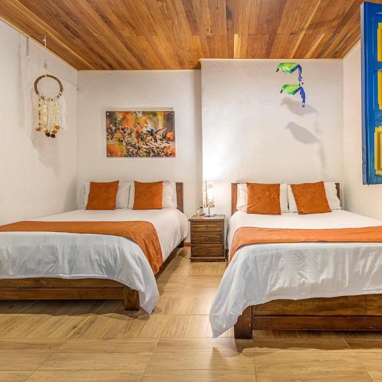 Ecohotel Piedemonte - Habitación Cuádruple con terraza - 8