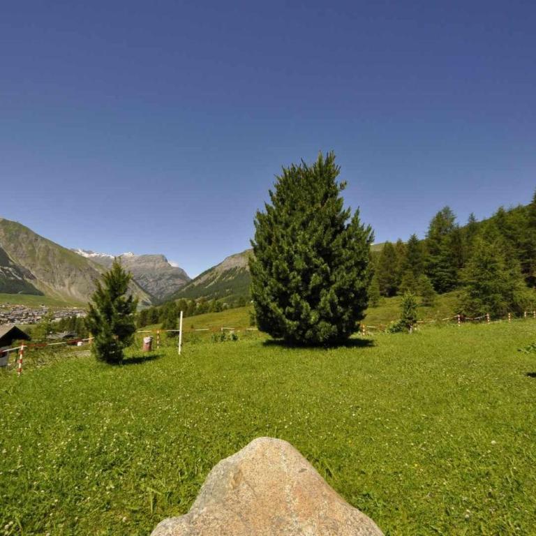 Condominio Teola Leonardo by Livigno Accomodation - Appartamento con Vista Montagna - 47