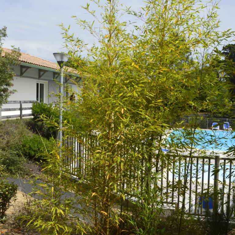 OSoleMio Moliets - Appartement 3 Chambres - 5