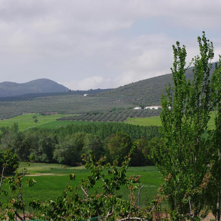 Cortijo Los Arcos - Lujo rural con piscina y vistas espectaculares en Málaga - Five-Bedroom House - 43