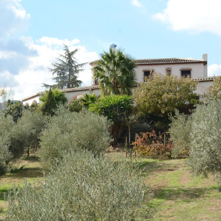 Cortijo Los Arcos - Lujo rural con piscina y vistas espectaculares en Málaga - Five-Bedroom House - 42