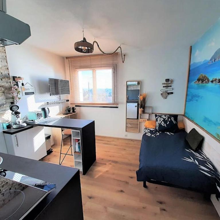 Songe Tropical-InvIRI. Studio CHU. Parking Aisé. - Appartement 1 Chambre - 1