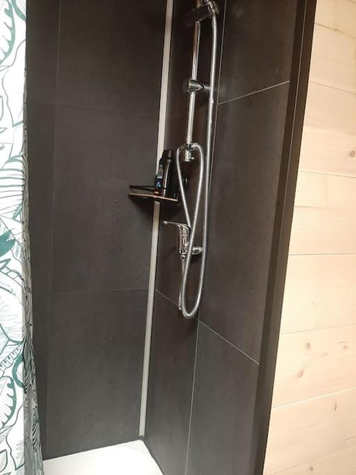 Songe Tropical-InvIRI. Studio CHU. Parking Aisé. - Appartement 1 Chambre - 16