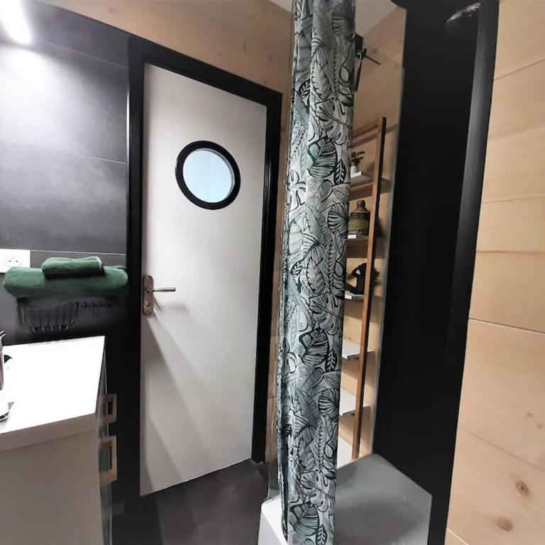 Songe Tropical-InvIRI. Studio CHU. Parking Aisé. - Appartement 1 Chambre - 12