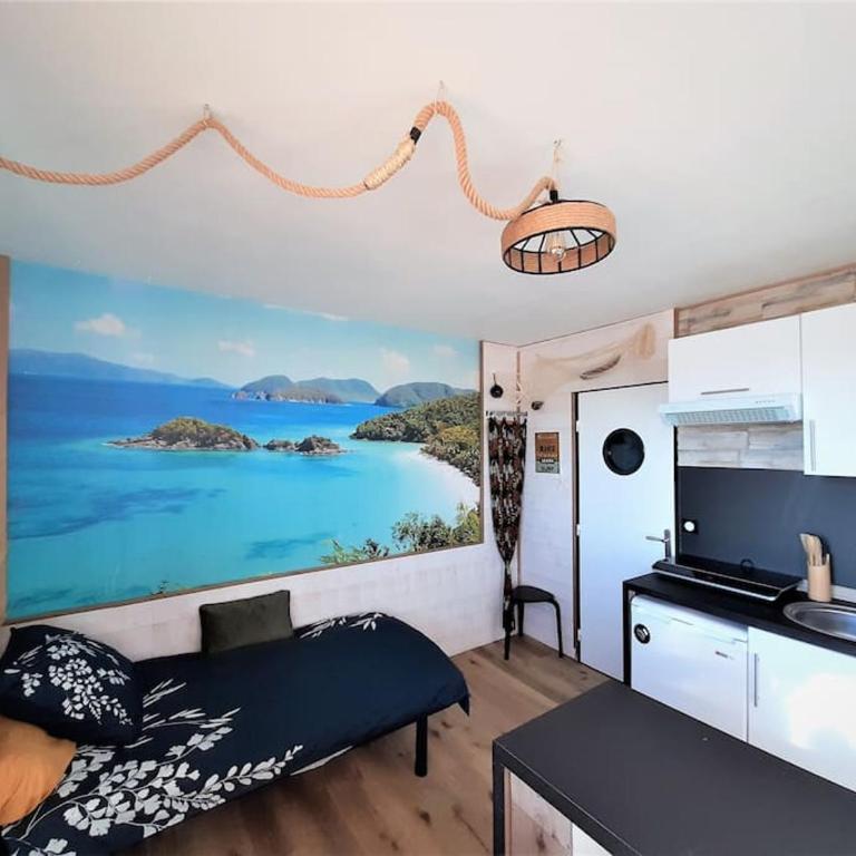 Songe Tropical-InvIRI. Studio CHU. Parking Aisé. - Appartement 1 Chambre - 2