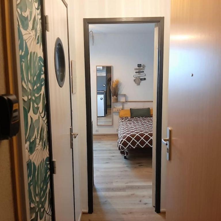 Songe Tropical-InvIRI. Studio CHU. Parking Aisé. - Appartement 1 Chambre - 10