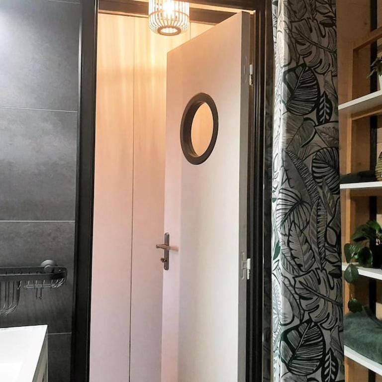 Songe Tropical-InvIRI. Studio CHU. Parking Aisé. - Appartement 1 Chambre - 17