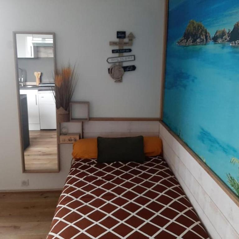 Songe Tropical-InvIRI. Studio CHU. Parking Aisé. - Appartement 1 Chambre - 7