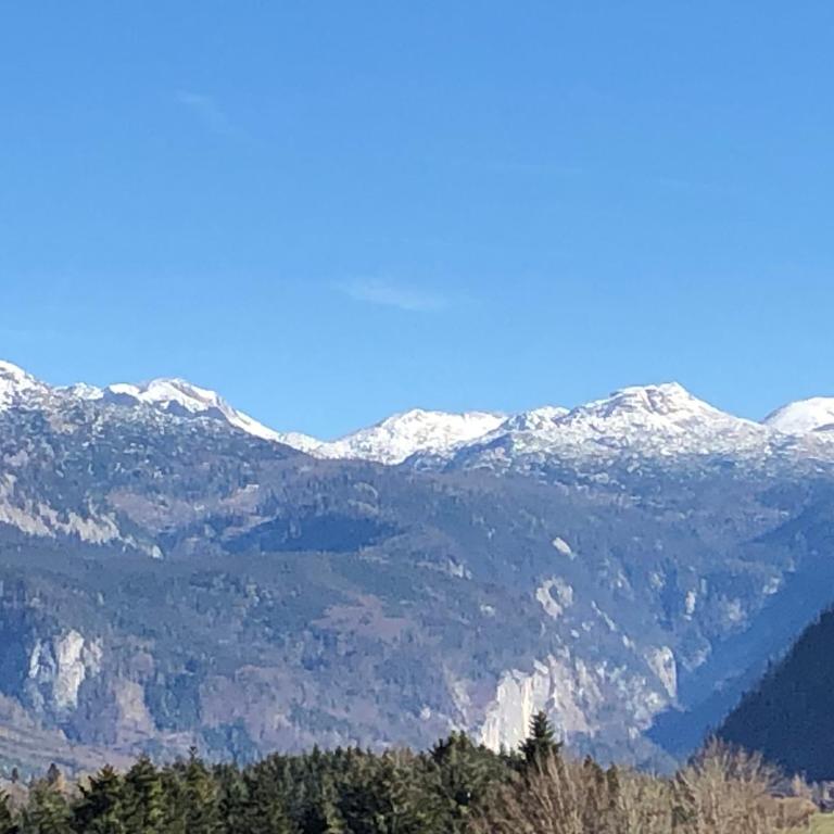 Ferienwohnung Susanne Hillbrand - Appartement avec Vue sur la Montagne - 73
