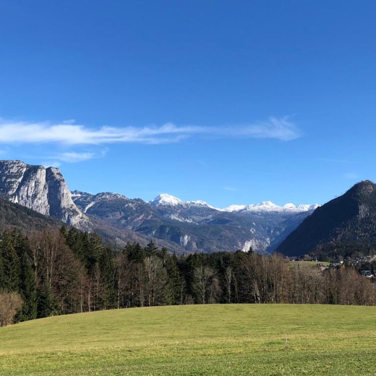 Ferienwohnung Susanne Hillbrand - Appartement avec Vue sur la Montagne - 72