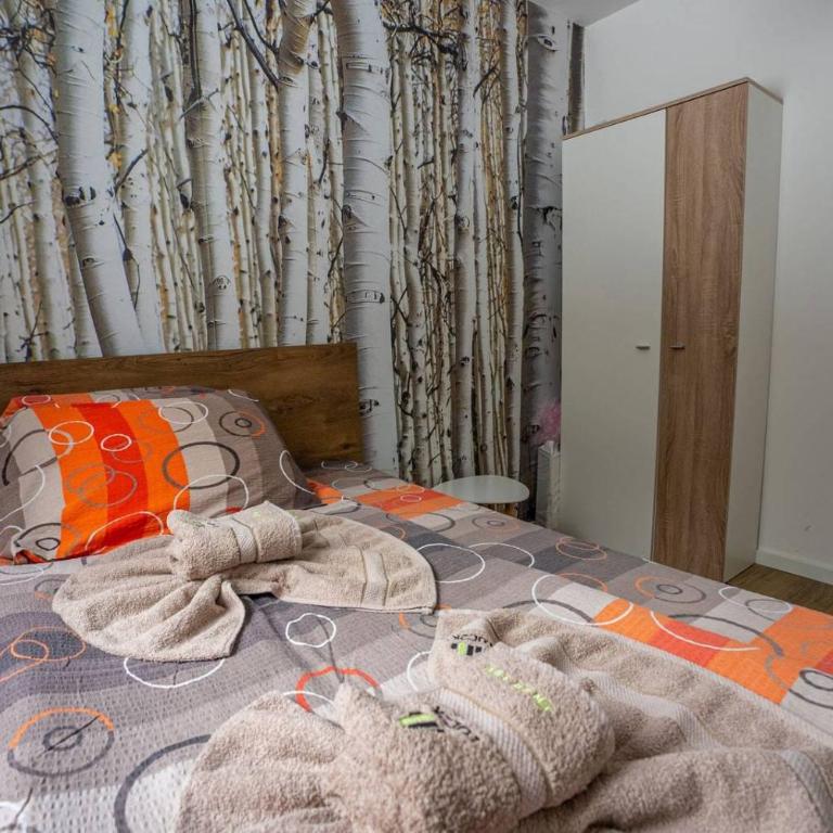 Apartman Lucky 2 Kopaonik - Apartman sa 1 Spavaćom Sobom - 13