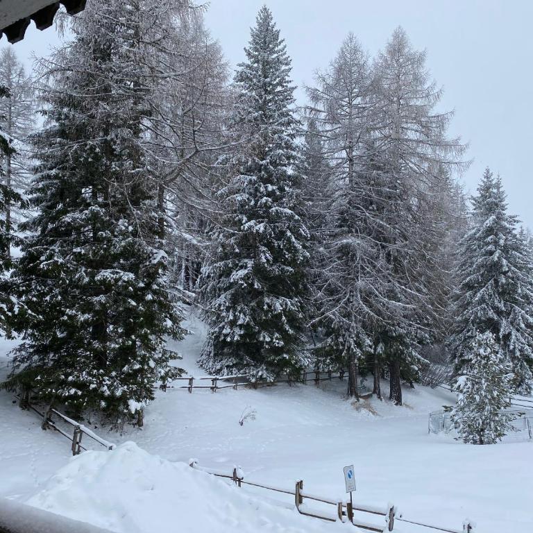 COSTALUNGAHOUSE TrekkingBikeSki selfcheck-in apartment - Appartamento con 1 Camera da Letto - 79