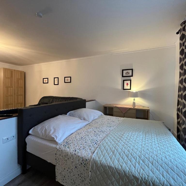 Pension & Apartments Waldkrieber - Studio-Apartment - 3