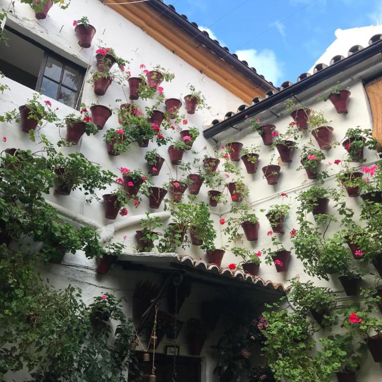 Aroma de azahar, en San Basilio - Apartamento de 1 dormitorio - 34