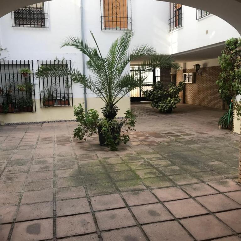 Aroma de azahar, en San Basilio - Apartamento de 1 dormitorio - 23