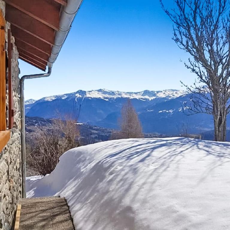 Tiny House facing the Alps - Ski in, Ski out - Chalet - 18