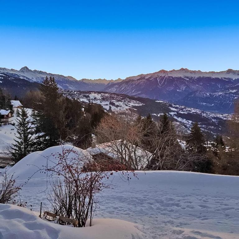 Tiny House facing the Alps - Ski in, Ski out - Chalet - 15
