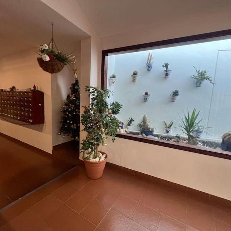 Molton Tenerife 1 - Apartamento de 1 dormitorio - 20