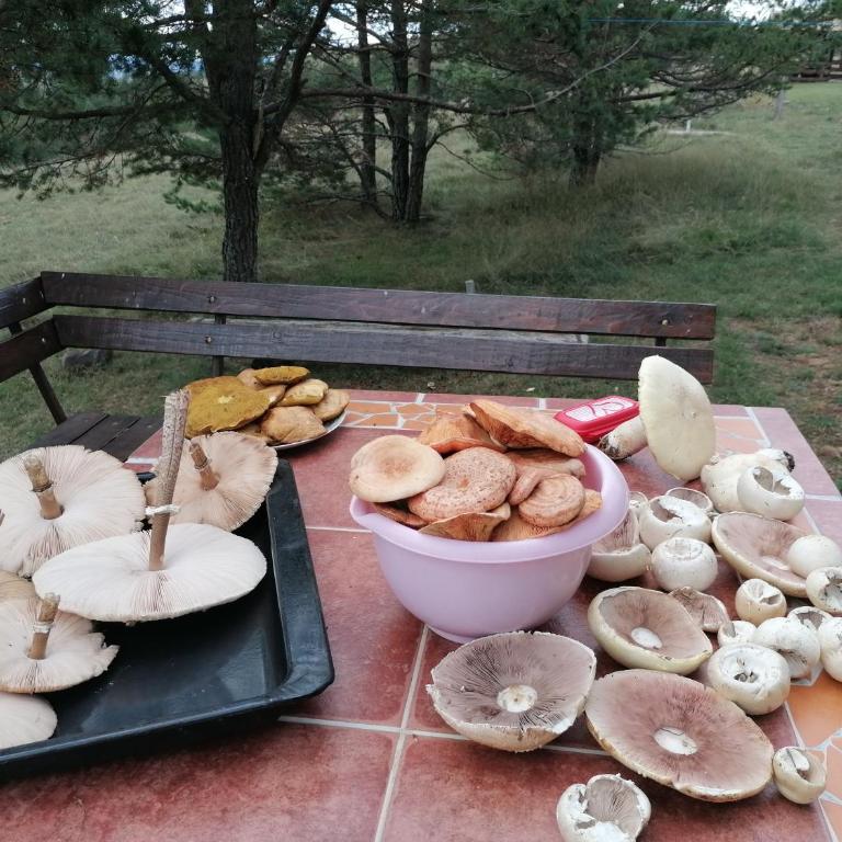 Zeleni Breg - Kuća sa 1 Spavaćom Sobom - 56