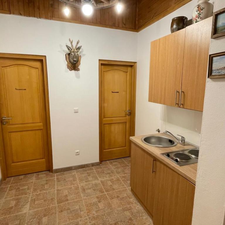 Alpha Ski Apartmani - Deluxe Twin Room - 5
