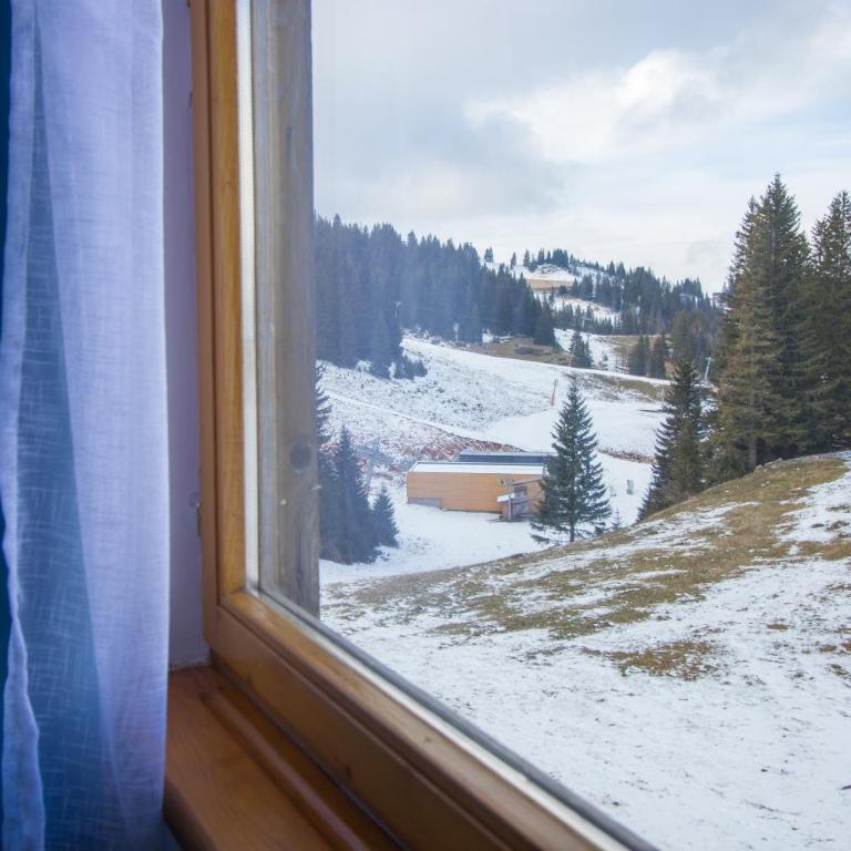 Olimpik House Jahorina - Quadruple Room with Bathroom - 1