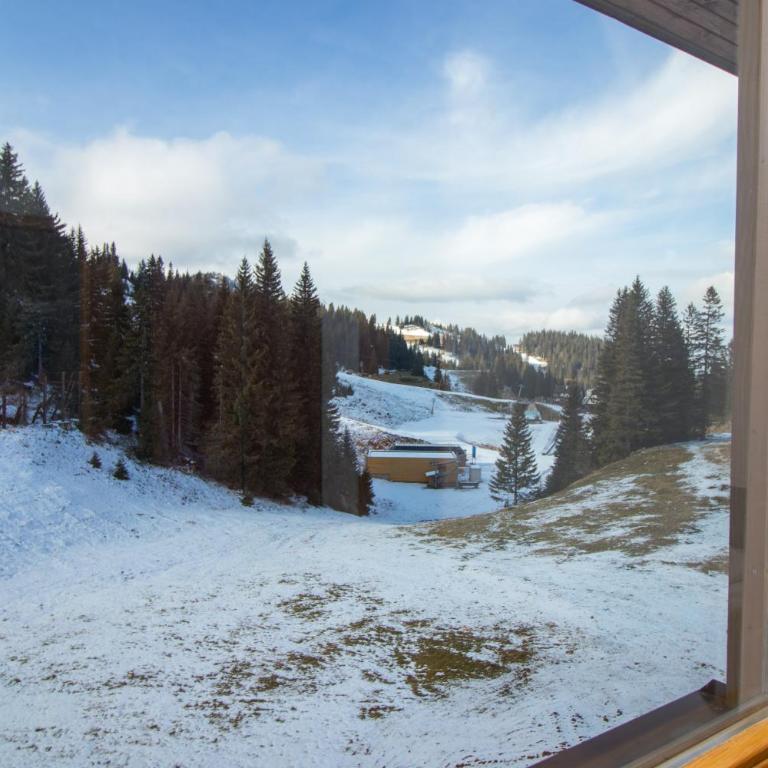 Olimpik House Jahorina - Quadruple Room with Private Bathroom - 6