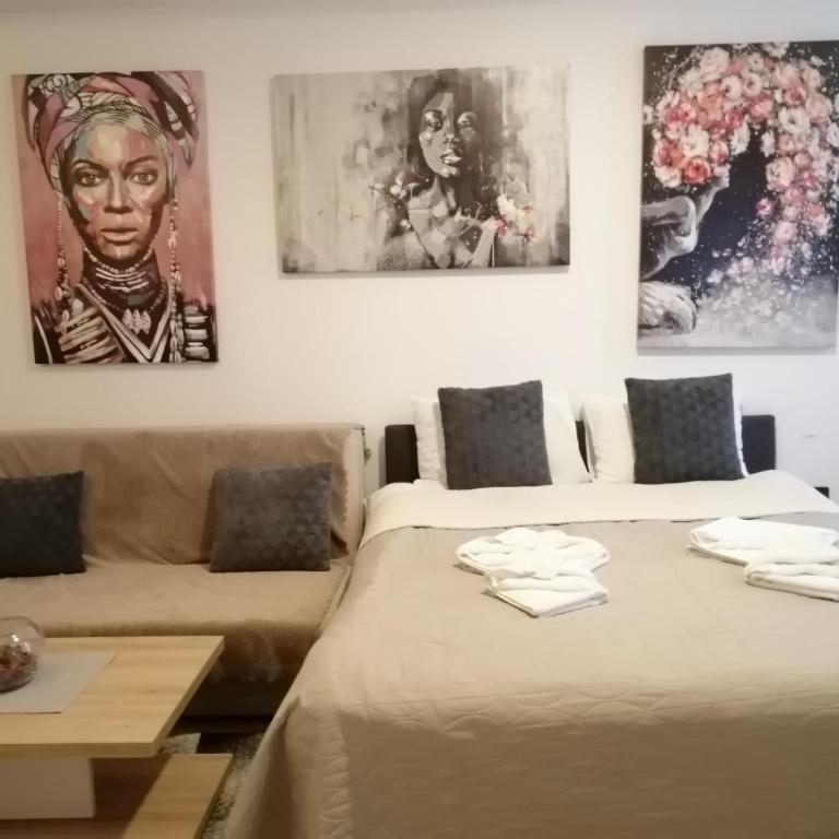 HUSKY Milmari - Apartman sa 1 Spavaćom Sobom - 9