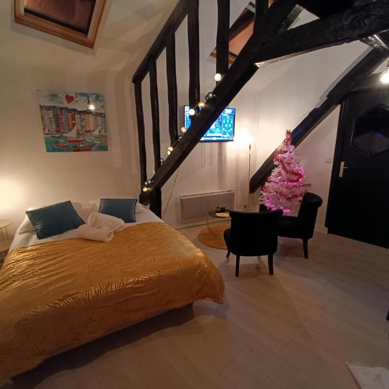 Le cœur du centre historique refait à neuf - Appartement 1 Chambre - 2