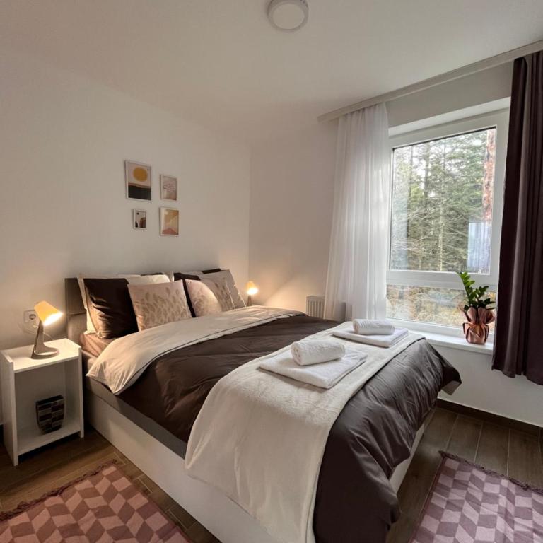 Apartmani Divila - Apartman sa 1 Spavaćom Sobom - 1