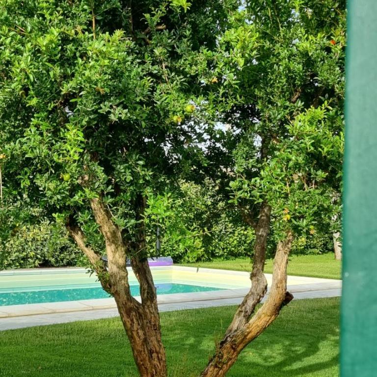 Villa Brancasi con piscina - Villa con Piscina Privata - 10