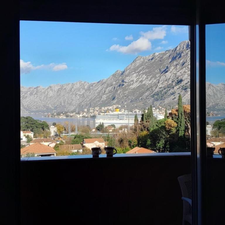 Sea view apartment in Kotor ! Apartment Popica - Apartman sa 1 Spavaćom Sobom - 10