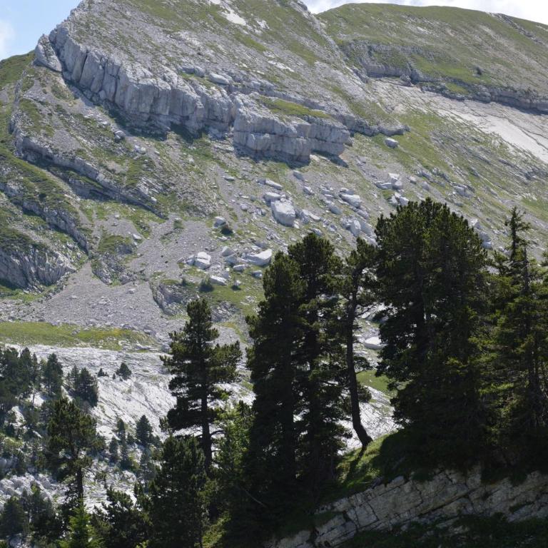 VILLARD DE LANS - Appartamento con 1 Camera da Letto - 15