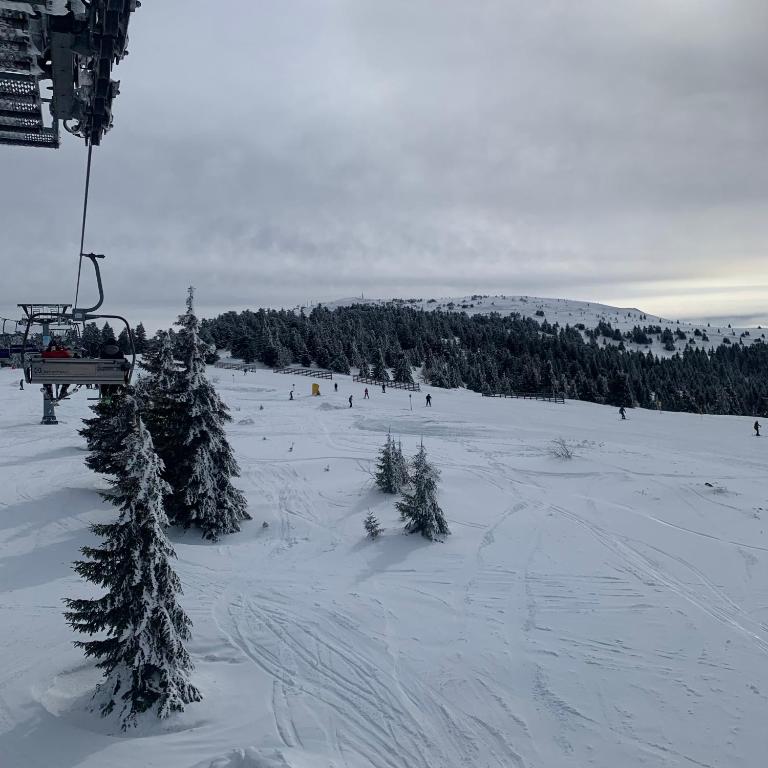 Milmari Resort N73 Ski & Spa - One-Bedroom Apartment - 47