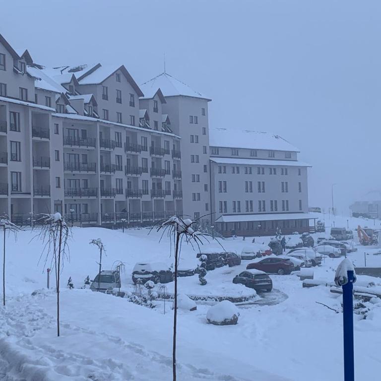 Milmari Resort N73 Ski & Spa - One-Bedroom Apartment - 2