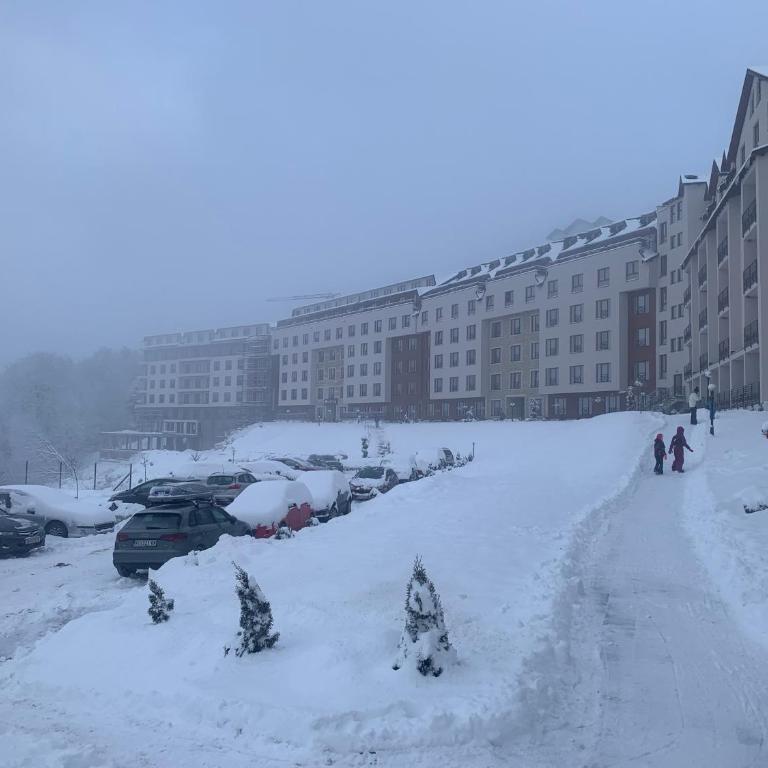 Milmari Resort N73 Ski & Spa - One-Bedroom Apartment - 18