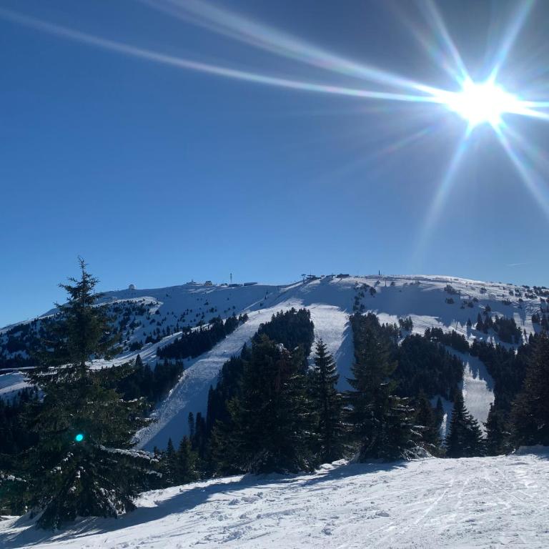 Milmari Resort N73 Ski & Spa - One-Bedroom Apartment - 49