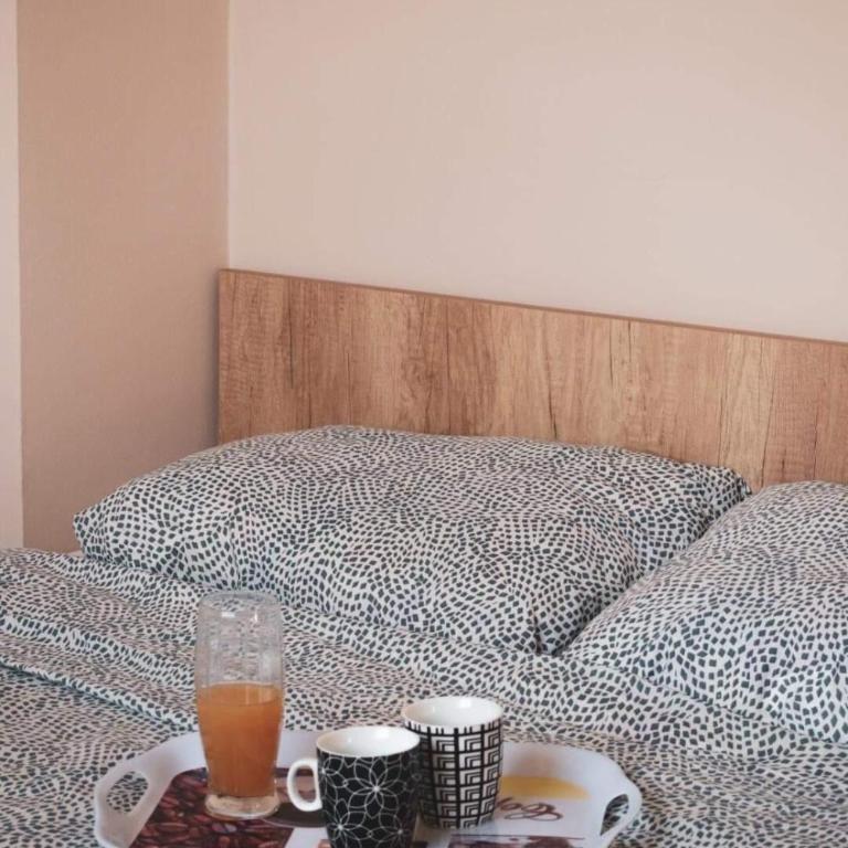 Zlatibor Apartman Kraljev trg - Apartman sa 1 Spavaćom Sobom - 14