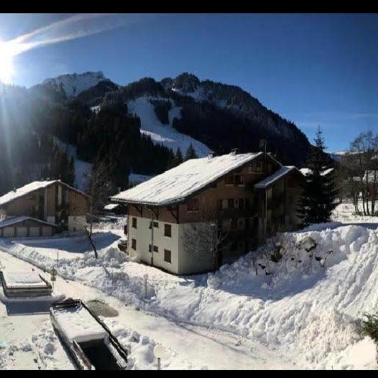 La montagne « un coin d’oxygène » - Appartement 1 Chambre - 4