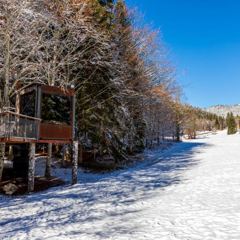 Cabane perchée La Résilience, sur le plateau du Vercors. - Chalet 1 Chambre - 35