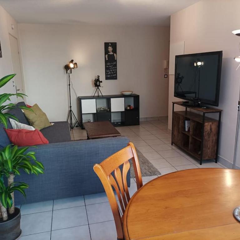 Lyon 8 Grange Blanche Appartement calme de 50 m² - Appartement 1 Chambre - 1